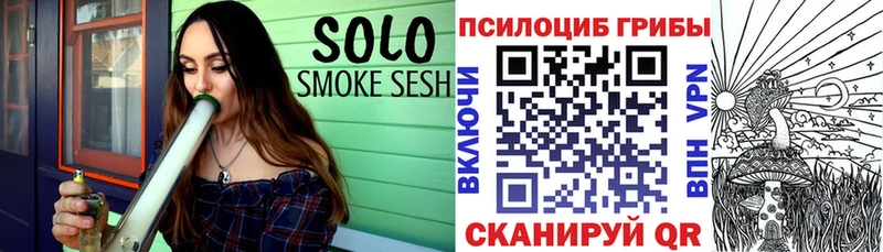 наркошоп  Курган  Псилоцибиновые грибы GOLDEN TEACHER 